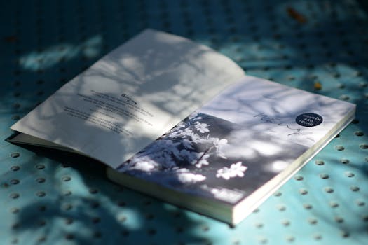 Czech Republic: Empowering Deaf Inclusion Through Innovative Partnerships